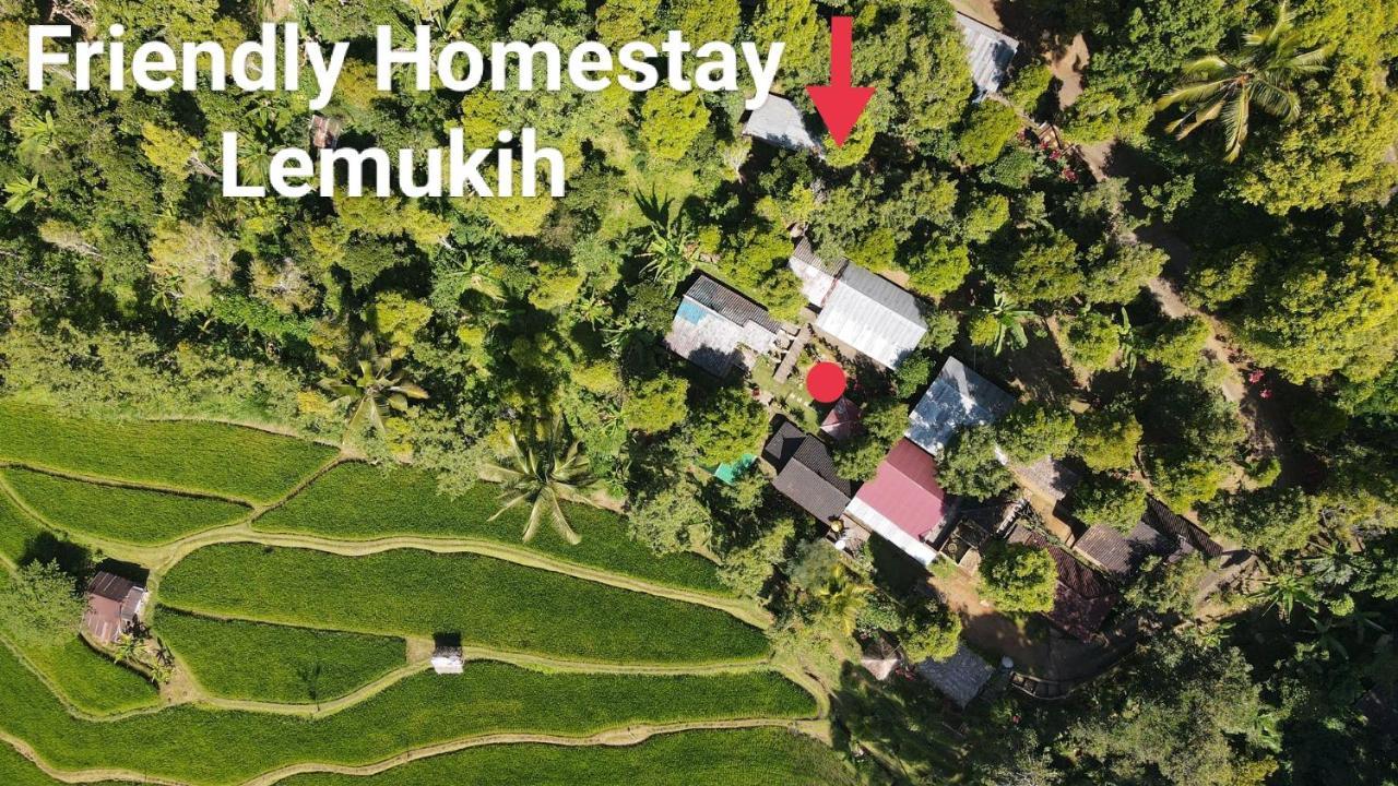 Friendly Homestay Lemukih Сингараджа Экстерьер фото